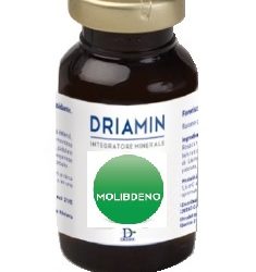 DRIAMIN MOLIBDENO 15 ML