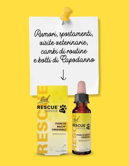   Rescue® PET e i consigli dell’esperto per le vacanze invernali