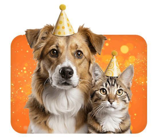   Rescue® PET e i consigli dell’esperto per le vacanze invernali