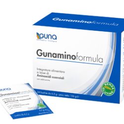 GUNAMINOFORMULA 24 BUSTINE 156 G