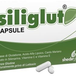 SILIGLUT 20 CAPSULE